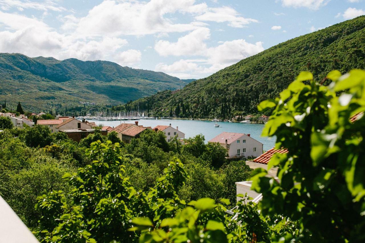 Dubravka Apartmani Mokošica エクステリア 写真